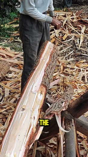 6.1K views · 14 reactions | Use Use a knife to peel the bark | Man Made TV | Facebook