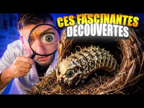 La science N’AURAIT JAMAIS DÛ trouver ça