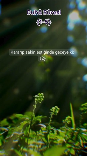 Duhâ Suresi 1-5 Meali | Rabbin Seni Terk Etmedi #ayet #kuran #amin #kuranmeali #türkçemeal