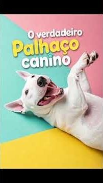 Bull Terrier: The Gladiator with the Heart of a Clown!