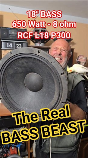 Vintage 18" BASS SPEAKER Sound RCF L18 P300 BASS BEAST SPEAKERS Showdown