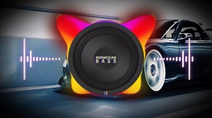 24K views · 885 reactions |  Norwegian Bass   See links below ...