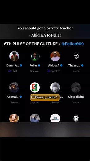 Peller's Study Plans: The Debate Over Private Tutoring