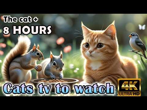 TV FOR CATS - Interactive Cat TV: 8 Hours of Birds & Mice to Make Your Cat Pounce ‪@Nature-4ktv‬ 70