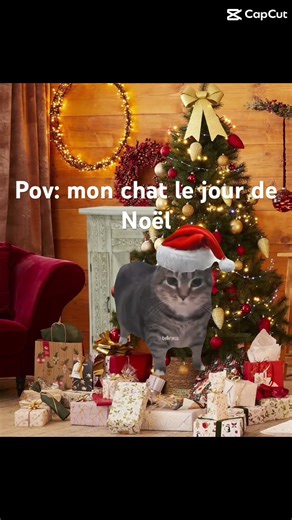 Mon chat a Noël