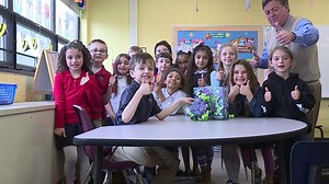 Does It Really Work: Orb Molecules