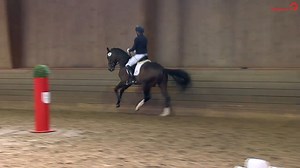 17K views · 233 reactions | And the winner is ... Ellis 磊 (v. Escolar...