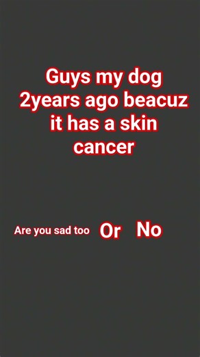 sub to make me happy again