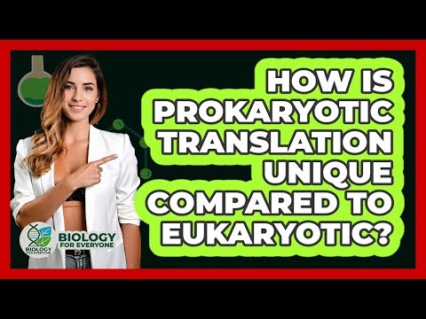 How Is Prokaryotic Translation Unique Compared To Eukaryotic? - Biology For Everyone