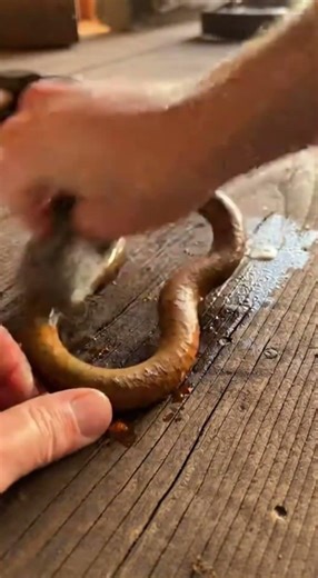 This Door Chain Link Was Completely Buried in Rust 🔗