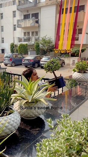 1.3M views · 15K reactions | easy, zero-waste gardening!  Chhoti si mehnat, fresh sa wall decor aur healthy plant growth.  #easyhomegardening #wallplantsetup #planttrimming | Sunila’s sweet home | Facebook