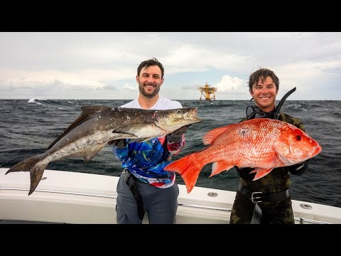 Spearfishing Louisiana Oil Rigs | Big Fish, Big Sharks, & Big Seas!