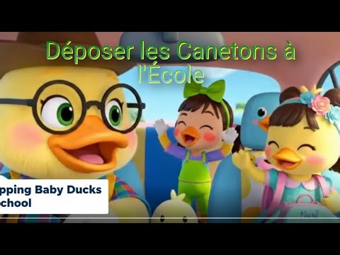 French | Déposer les Canetons à l'École | Dropping Baby Ducks to School