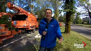 Clean-up crews restoring Halifax after Hurricane Dorian rips through