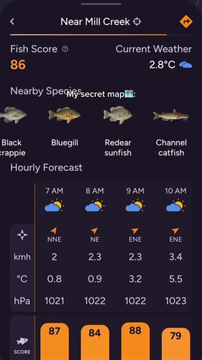 This fish radar is fire!!🔥 #fishai #fishinglife ⁠#fishing ⁠fish #angler #anglerlife