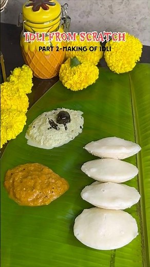 Idli From Scratch Part 2 | Super Soft Idli Recipe |Perfect Fermentation Tips |South Indian Breakfast