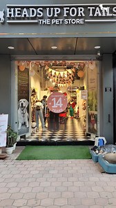 1.1K views · 22 reactions | What is a celebration without balloons and confetti, right? As we turn 14, our stores across India are all decked up to celebrate our birthday with you. Give us a "李" in the comments below if you have seen this decor in our stores, if not then hurry visit your nearest HUFT store soon!  #HUFT #HUFTForFamily #HeadsUpForTails #HUFTturns14 #Birthdaymonth #Celebrations #FabulousFebruary #Birthday #Birthdayparty #14YearsYoung | Heads Up For Tails | Facebook