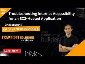 Day 40: Troubleshooting Internet Accessibility for an EC2 | 100 Days of Cloud (AWS)