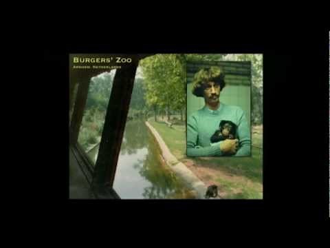 Morality without religion | Frans de Waal | TEDxPeachtree