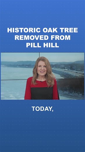Soon after the leaves, it was time for the whole tree to go. A historic tree in the Pill Hill neighborhood of Rochester was taken down Friday. The tree, an old bur oak, is located off 10th Ave SW in the pill hill area. Bur oaks are native to the area, and neighbors say they believe it to be more than 200 years old. READ: https://www.kttc.com/2025/12/20/historic-oak-tree-removed-pill-hill-neighborhood/ #Historic #Trees #Oak #Rochester | KTTC TV