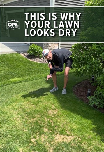 Fix a Dry, Patchy Lawn: Simple DIY Lawn Care Tips