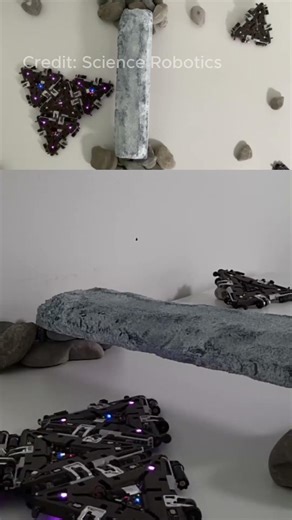 Modular Robot Gets Better with More Modules