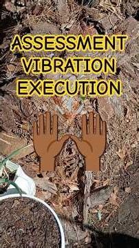 🌱🙌🏾 #assessment #vibration #execution #warmday #sunnyday #gardenstyle #strategy #gardeningtips #beds