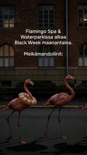 15 reactions | Visitflamingo on Reels | Facebook