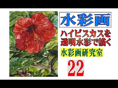 水彩画 水彩で花を描く ハイビスカスを透明水彩で描く Draw a hibiscus