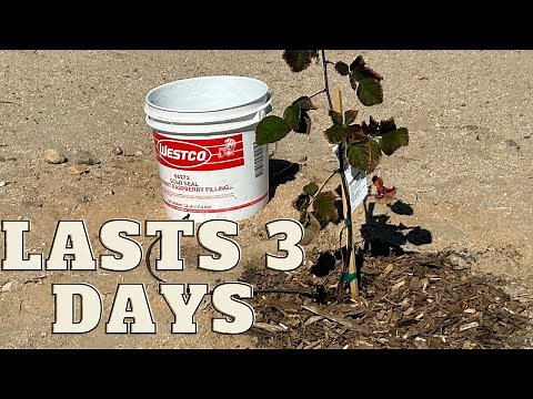 5 gallon Slow Drip Gravity Irrigation Bucket System For Your Garden