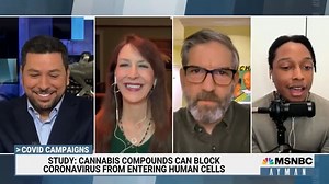 6.5K views · 271 reactions | Thank you @AymanMSNBC for having me on! And let’s get this bong study underway! #BongOfYourOwnPee #SolutionsNotProblems | Stephanie Miller Show | Facebook