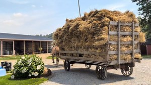 454K views · 10K reactions | Get a load of this. I watched two Amish farm boys drive an empty wagon out to the wheat field full of shocks on a very hot summer day. One hour and fifteen minutes later they pull up by the barn with this wagon load. Them boys know how to work. JD | AmishLeben | Facebook