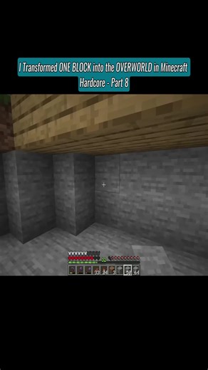 Transforming One Block into the Overworld in Minecraft