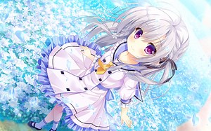 在手机上玩电脑GAL？-exgear模拟器用法