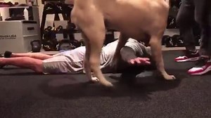 Triple H Workout 2017 | WrestleMania 33