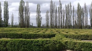 21K views · 1.2K reactions | "EL CORAZÓN DE MENDOZA" Y SUS BELLEZAS...