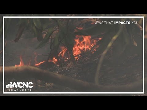 Western NC wildfire grows to 70 acres in Avery County, NC