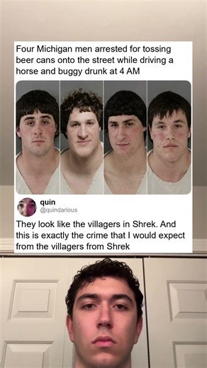 Shrek villagers
