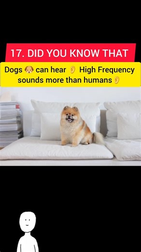 17. Dogs 🐶 can hear 👂 High Frequency sounds more than humans👂