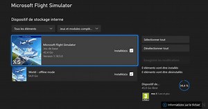 Microsoft Flight Simulator : 42,4 Go de base   55 Go pour jouer hors ligne