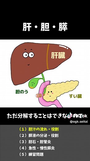 【肝・胆・膵の解剖生理学】 #医療学生 #解剖生理学 #インストラクター #セラピスト #マッサージ #看護学生 #インストラクター #整体 #過去問 #解剖学の勉強 #肝臓 #膵炎 #慢性膵炎 #急性膵炎 #胆石