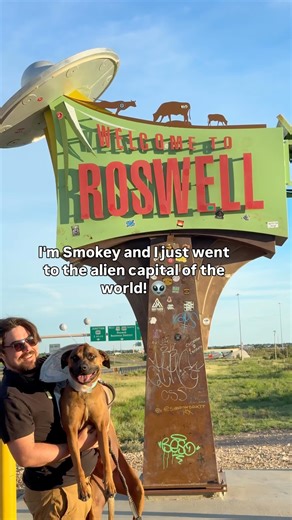 Becky Wood | ABQ Adventures ✨Things to do in New Mexico on Instagram: "beam me pup! 🐕 🛸 steal Smokey’s tips for an out-of-this-world trip to Roswell with @bestwestern 👽 #ad 👽 Go during the UFO Festival every July 4th weekend. The pet costume contest is a must-see: we saw impressively dressed dogs, cats, and even a snake! 😮 🧇 Crash at the dog-friendly @bestwestern El Rancho Palacio for free breakfast —including alien waffles!— and a pool, conveniently near all the main attractions. There’s