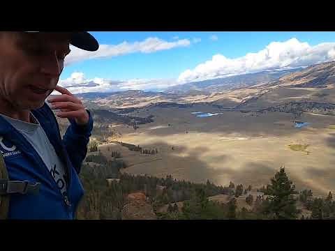 Yellowstone's Fabulous Fossil Forest: petrified trees encased in volcanic mudflows and ash