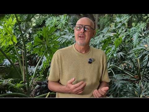 Timeboxing: work less, feel better and get more done