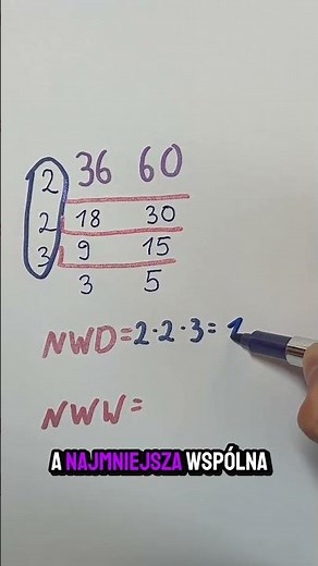 📊 Najlepszy sposób na NWD i NWW!