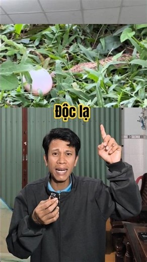 This is the first time I've seen something like this (unique and unusual).