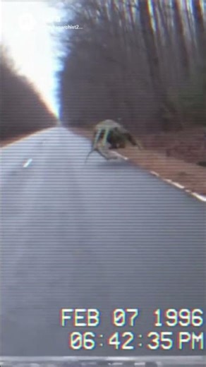 Why did the alien cross the road. #sora #soralife #creepy #eerie #ai #alien