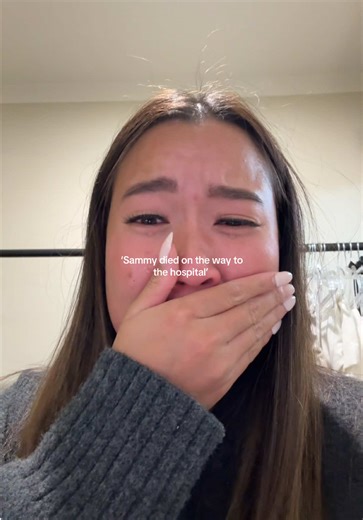 Heartbreaking Dance Academy Moments: Remembering Sammy