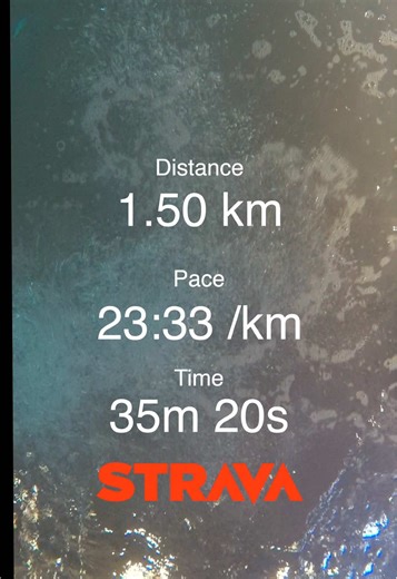 #gymshark66 day14 Trying a different kind of edit today whilst getting my last needed cardio session in of the week. Didn’t lift today. Smashed the protein and water goal for the day. Got my pages read in the sauna and had a nice conversation with a friend on a pull-up challenge he was telling me about a few days ago. Successful day all round. Weekly update probably coming tomorrow. George #gymshark #gym #swim #strava