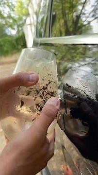 Beulen am Auto leicht entfernen Trick😍🚗🪠